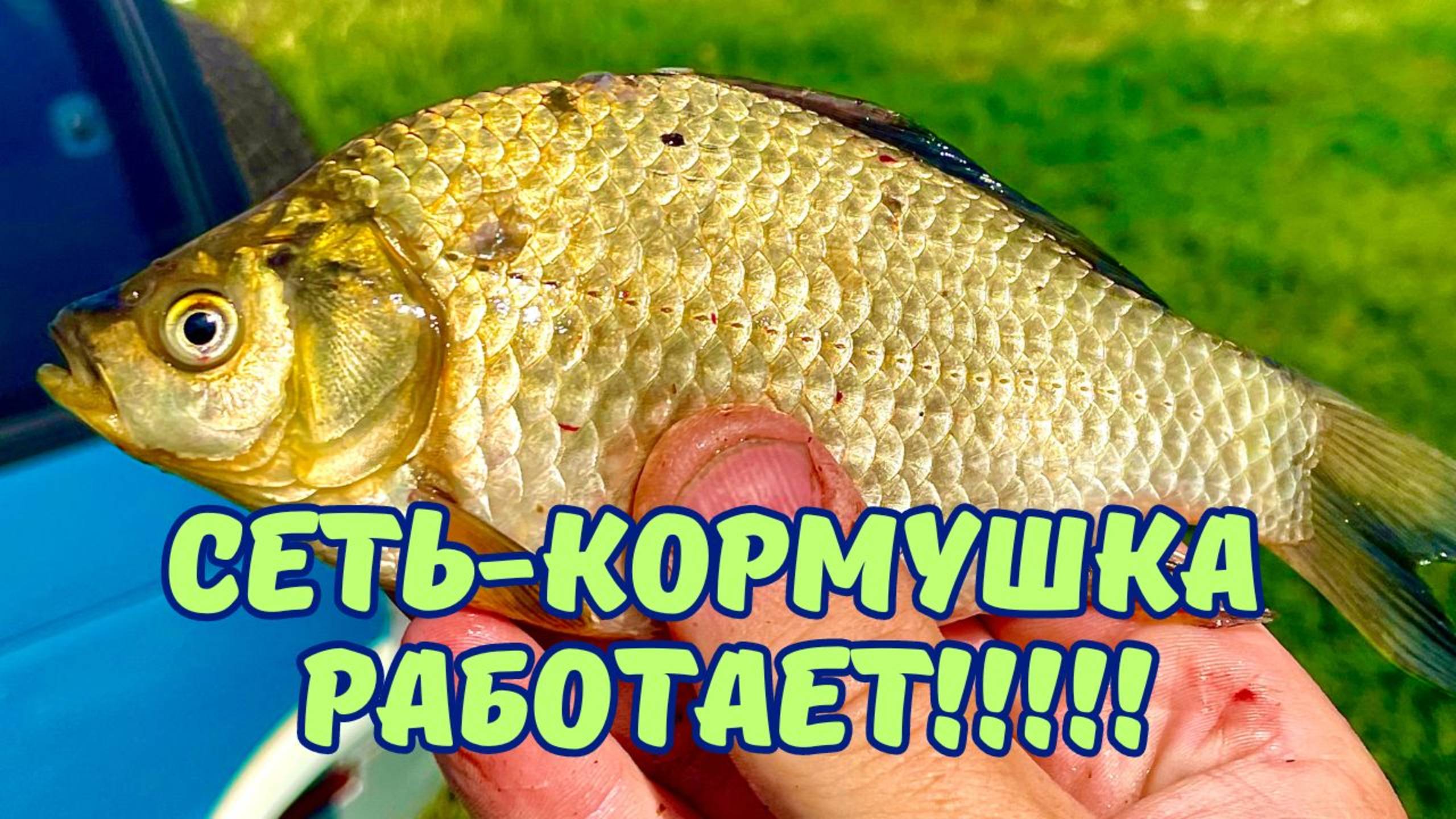 КАРАСЬ НА СЕТКУ С КОРМУШКОЙ ЛОВИТСЯ ОТЛИЧНО!!! смотреть онлайн