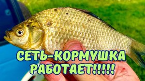 КАРАСЬ НА СЕТКУ С КОРМУШКОЙ ЛОВИТСЯ ОТЛИЧНО!!!
