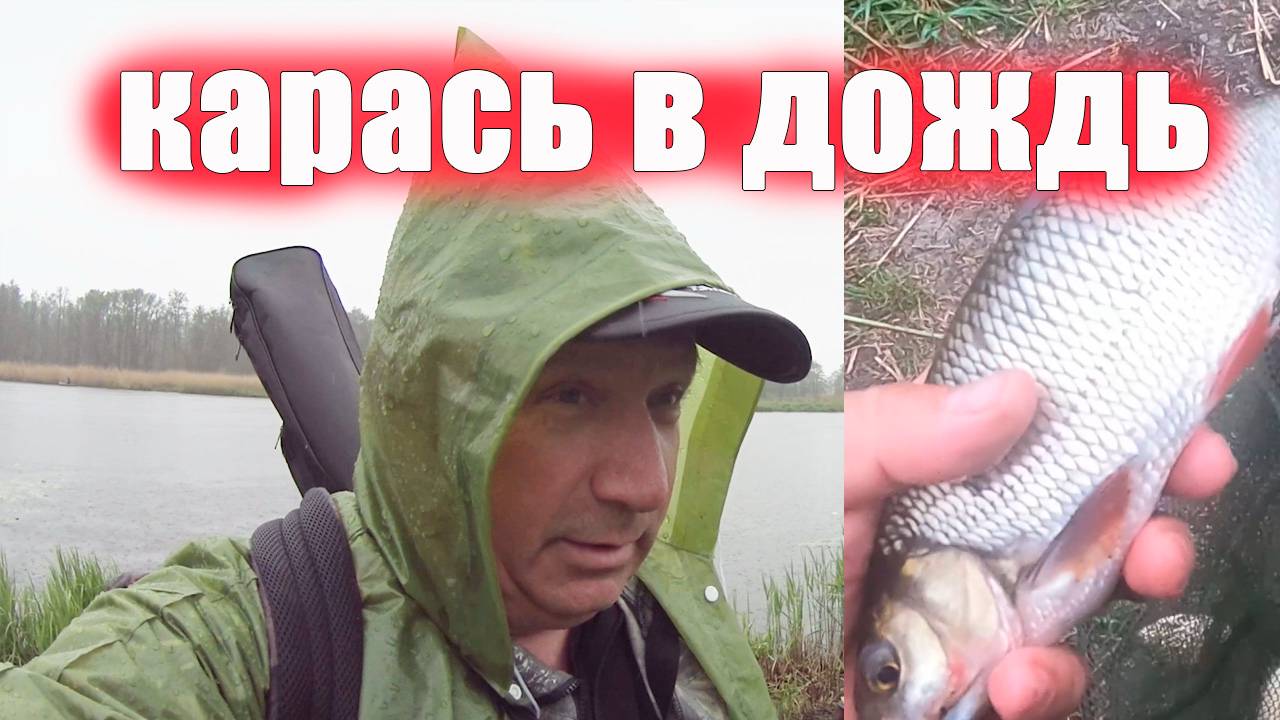 Карась в дождливое весеннее утро, на что ловим смотреть онлайн