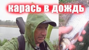 Карась в дождливое весеннее утро, на что ловим
