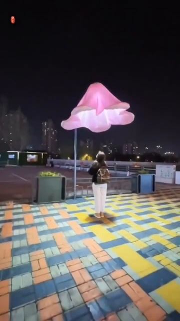 Цветок-Фонарь!