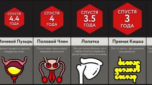 Без Этих Частей Тела Не Выжить!