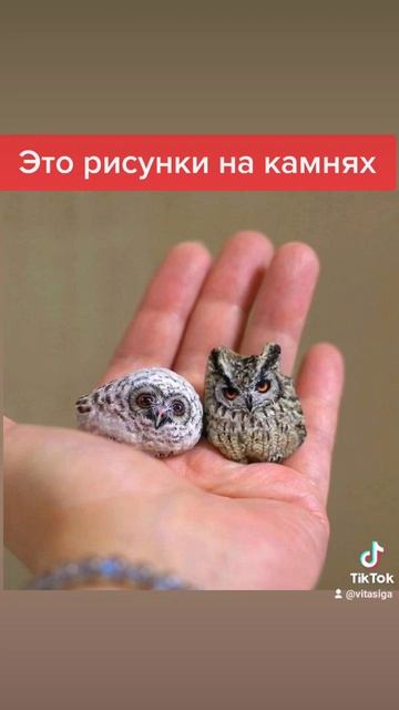 Птенчики или камни? (Показалось) Очень реалистичные рисунки на обычных морских камушках смотреть онлайн