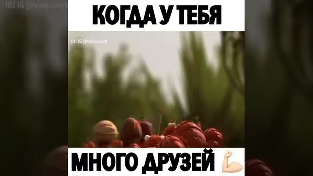 Рэй смотреть онлайн