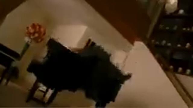 Русский тизер к фильму ''Новолуние'' смотреть онлайн