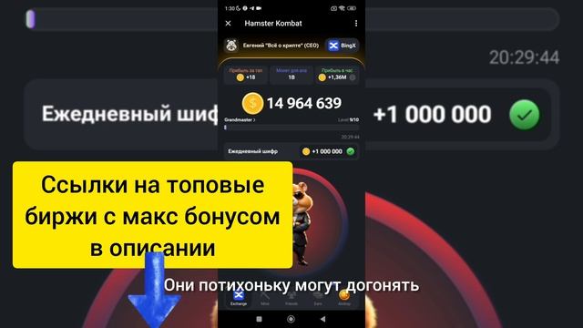 Обязательно к просмотру новичкам. Как правильно прокачивать свой аккаунт в Hamster Kombat смотреть онлайн