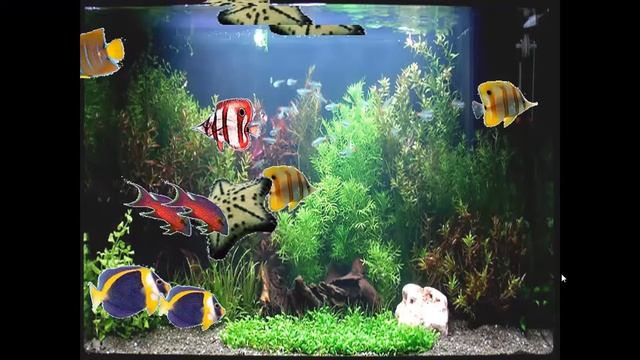 Презентація 