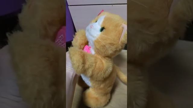 интерактивный котенок