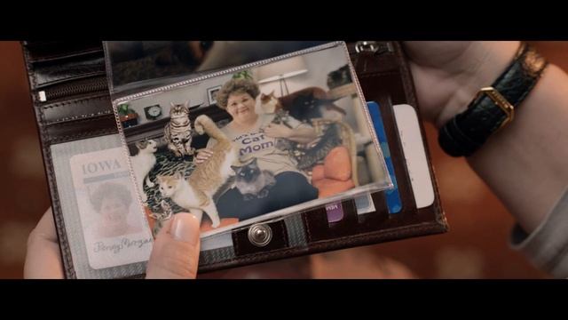 «Шпион» — фильм в СИНЕМА ПАРК смотреть онлайн