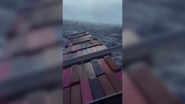 КАК ВЕЗУТ ваши АВТОМОБИЛИ из Японии | Погрузка судна ELG смотреть онлайн