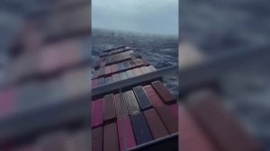 КАК ВЕЗУТ ваши АВТОМОБИЛИ из Японии | Погрузка судна ELG