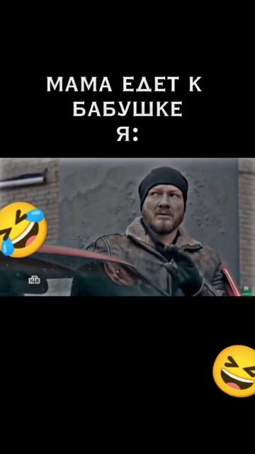 #meme #пёс#смешные видео смотреть онлайн