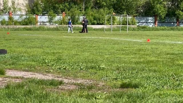 2 Отл. СС Аллемо Хаус АСТОН МАРТИН +++ №6. КЧК УФА 18 мая`25 Ю.Овсянникова Моно нем.овчарок