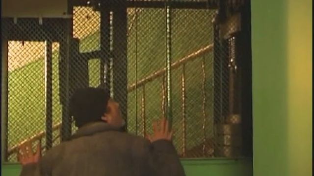 Слепой 3 серия 1 сезон смотреть онлайн