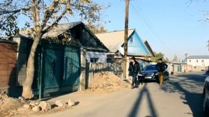 Жараланган турналар 2
