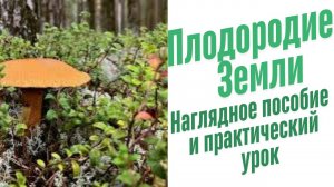 Поиск грибов для Барматухи.