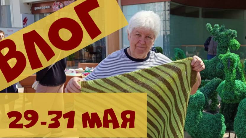 Встреча клуба 28 петель и котопледы смотреть онлайн