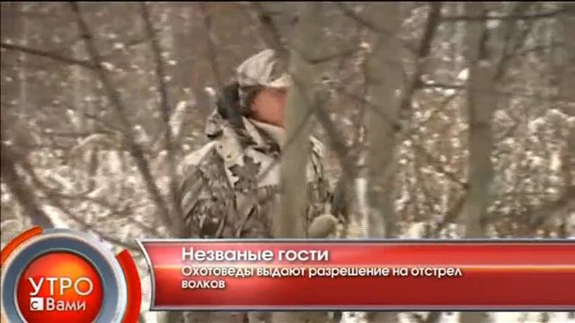 Незваные гости - "Утро с Вами" 30.01.2013 смотреть онлайн