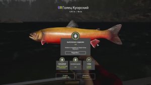 Русская Рыбалка 4-Задание: Голец Куорский оз. Куори