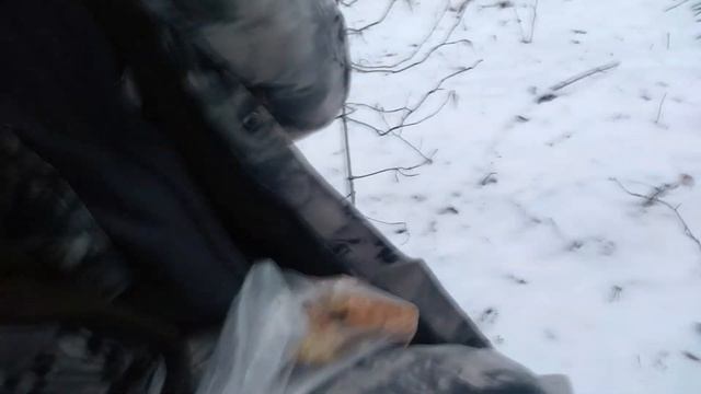 Лесная Братва ►1# Пилот смотреть онлайн