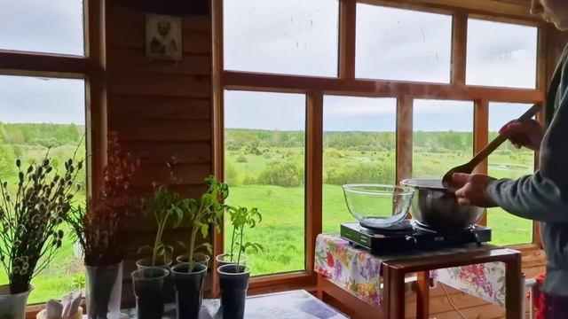 Варенье из молодых сосновых шишок!