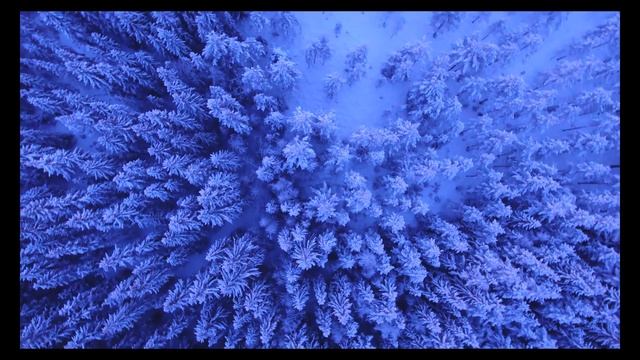Волшебная зима 4k ❀ Magic winter 4K © Невероятно красивый рол? смотреть онлайн