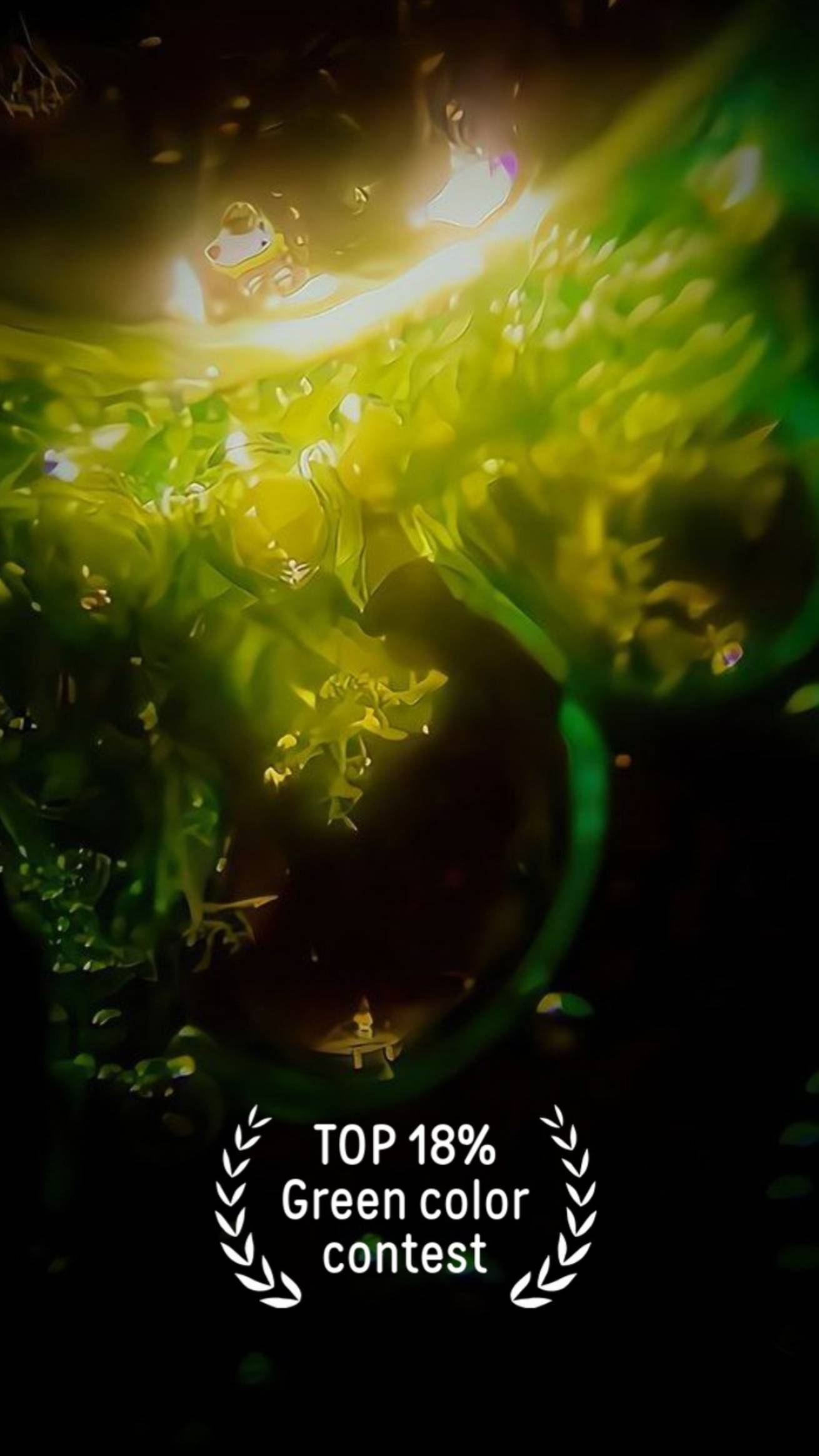 Реакция замещения серебра медью из нитрата серебра с образованием серебрянных дендритов дендрит смотреть онлайн