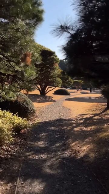 Синдзюку гёэн. Токио, Япония смотреть онлайн