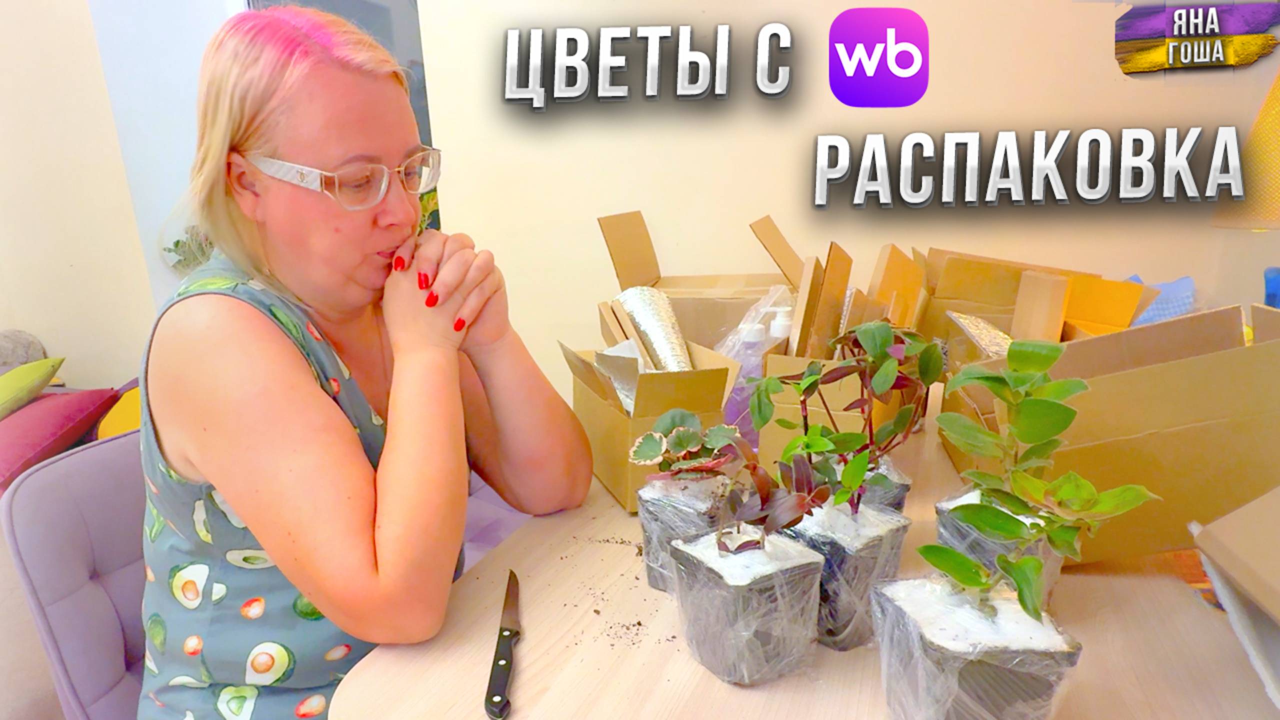 Можно ли покупать ЦВЕТЫ и РАСТЕНИЯ на WILDBERRIES? Мой опыт! Заказала традесканцию и вот что вышло! смотреть онлайн