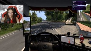 #Euro Truck Simulator 2 #вебка #рп