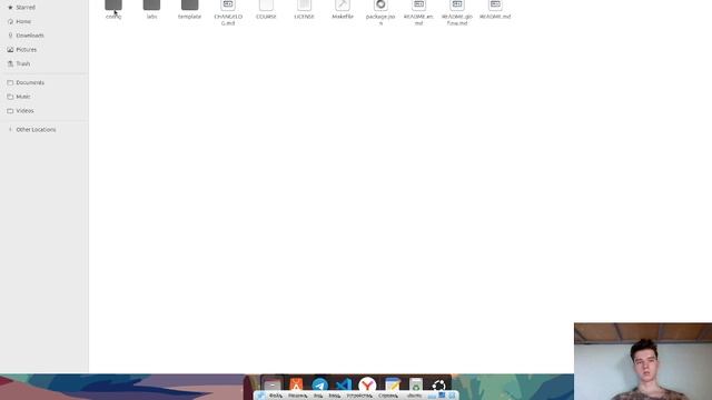 Выполнение презентации 17 лабораторной работы по имитационному моделированию