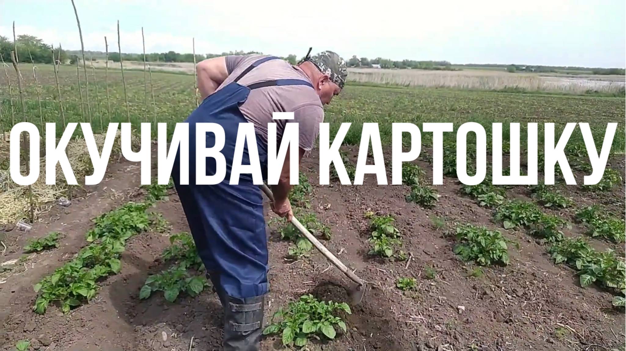 Секреты хорошего урожая картошки в деревне смотреть онлайн