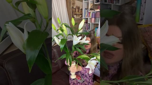 ВЕСНА ИДЕТ!!! Жара в Москве: СТРИМ смотреть онлайн