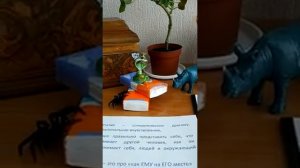 Эмпатия14032019