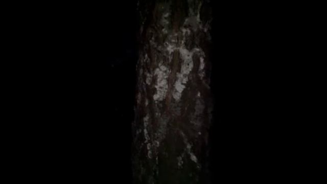 Астрал 4 смотреть онлайн