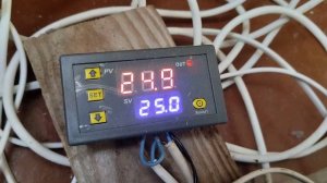 Работа термостата W-3230. Проращиваю перец.