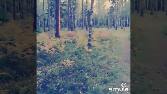 Может знает лес - 2023 год смотреть онлайн