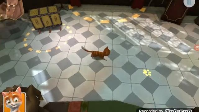 Кот гром смотреть онлайн