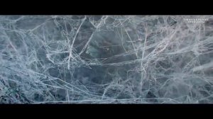 Станция 88   Тизер 2019