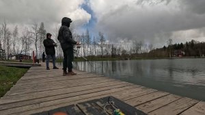 Форель на платнике