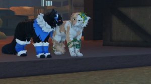 8 часть "Заражённый лес(начало)"! Коты воители роблокс! W