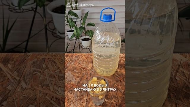 Банановое удобрение для растений. Делаем сами! смотреть онлайн