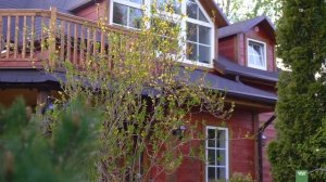 Сад на 6 сотках весной. Кустарники