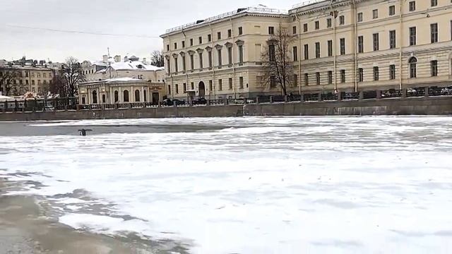Что за жесть ПИНГВИН В НЕВЕ смотреть онлайн