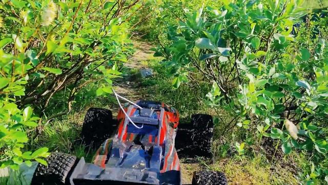 Traxxas Xrt & Cen Colossus по красивым местам  #2