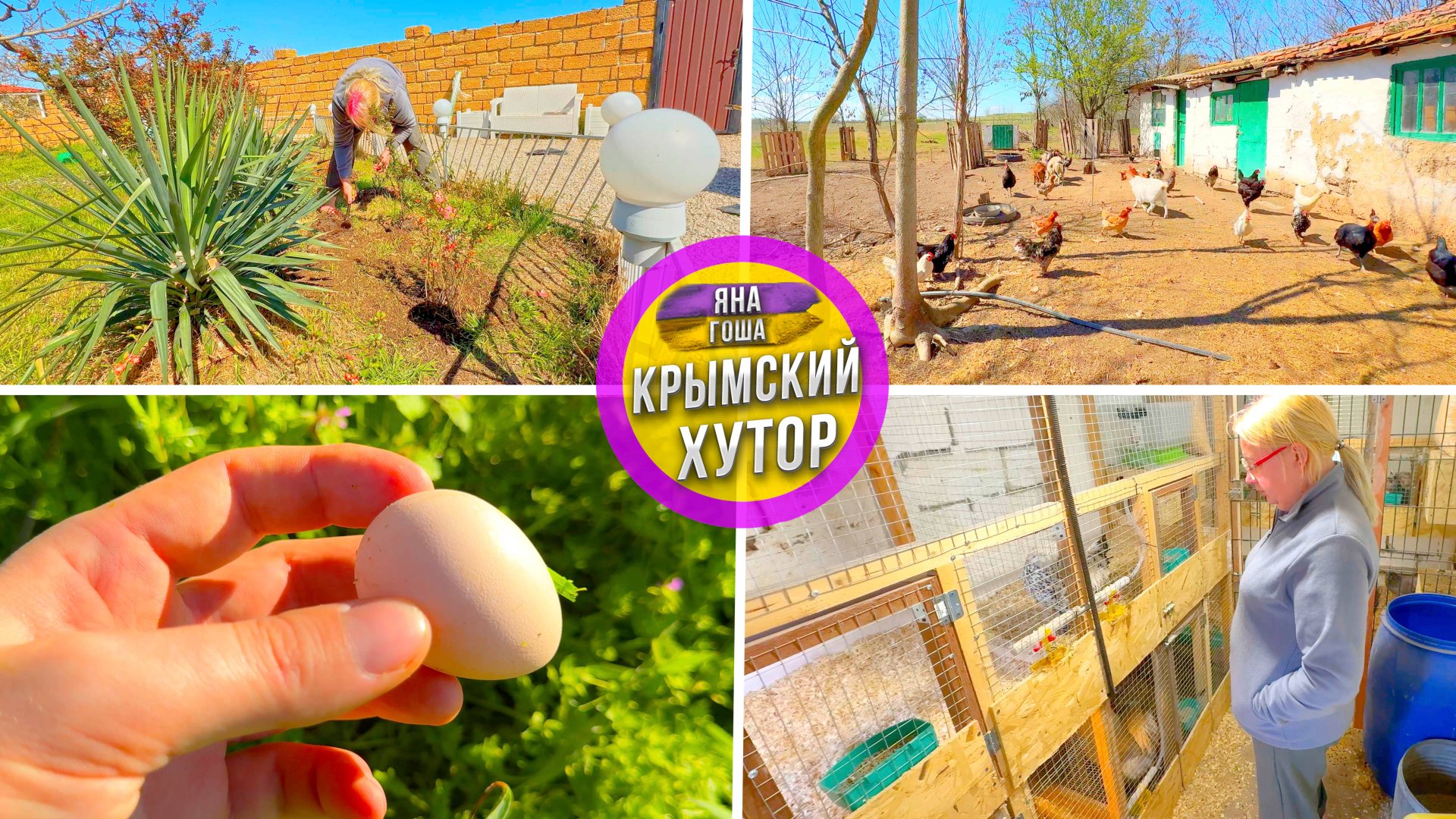 Семья живет на хуторе в Крыму. Индюк покинул нас! Сажем розы по 250р. Нашел яйцо цесарки! Круятник. смотреть онлайн