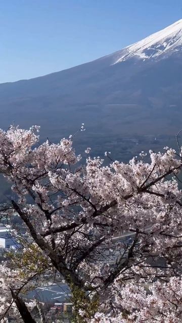 Фудзияма. Япония смотреть онлайн