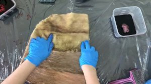 Как покрасить натуральный мех в домашних условиях без