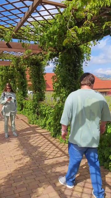 винодельня шато Пино Новороссийск смотреть онлайн