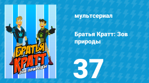 Братья Кратт: Зов природы 1 сезон 37 серия «Прилипнуть к акуле» (мультсериал, 2011)